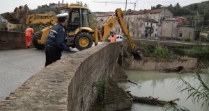 La rimozione dei tronchi al Ponte Sant'Antonio