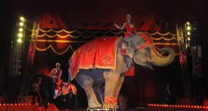 Circo Rolando Orfei
