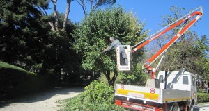 Operai in azione ai giardini pubblici