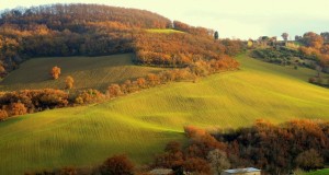 Lo scatto di Luigi Alesi