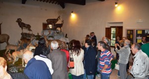 Visitatori alla mostra del "San Domenico"