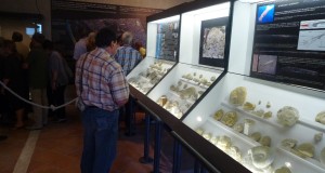 Visitatori al museo