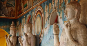 Un'immagine dallo Sri Lanka
