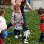 Bambini giocano con il loro coniglietto nel cortile dell'asilo