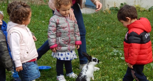 Bambini giocano con il loro coniglietto nel cortile dell'asilo