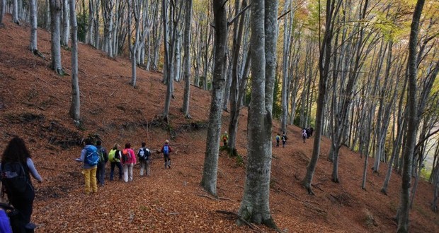 Escursione dell'8 novembre all'Abbadia di San Romualdo