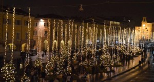 Il Bosco urbano