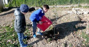 Bambini impegnati nell'orto