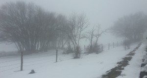 Neve: scuole chiuse nella giornata di lunedì 26 febbraio