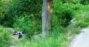 Il punto dell'incidente e la Bmw sul prato