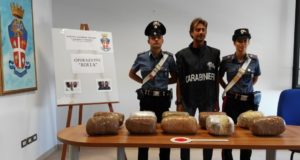 La droga sequestrata a Berta