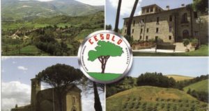 Una "cartolina" da Cesolo