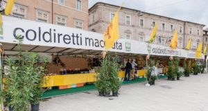 La Mostra in piazza (immagine di Foto studio style)