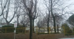 Il giardino del plesso "Gentili"