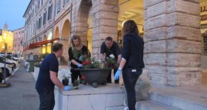 Al lavoro per abbellire la piazza