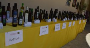 Gli oli presenti alla Rassegna nazionale di San Severino