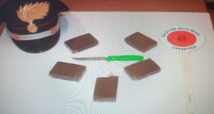 La droga sequestrata a San Severino