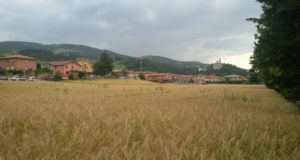 Il terreno in cui sorgerà il villaggio di casette