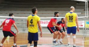 Sios Novavetro in campo (foto d'archivio)