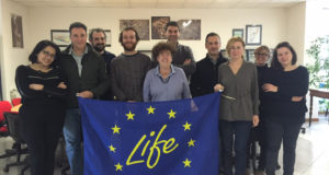 Il gruppo Ecotiles