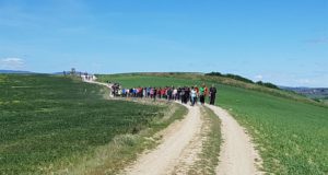 Pellegrini in cammino sull'antica via romano-lauretana
