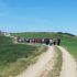 Pellegrini in cammino sull'antica via romano-lauretana
