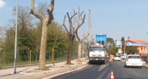 Lavori di asfaltatura lungo via San Michele