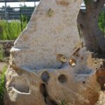 La nuova fontana