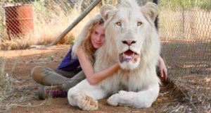 Mia e il leone bianco