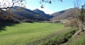 Valfucina