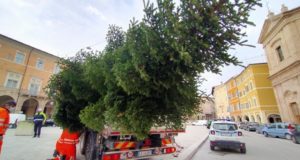 Si avvicina il Natale...
