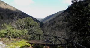 Un angolo della Valle dei grilli