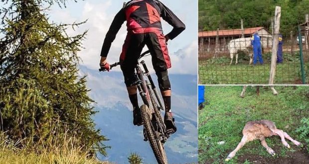 Bici, passione e amore per il territorio