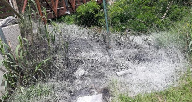 Fiamme a ridosso del ponte in legno sul Potenza