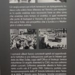 Pannello in mostra n. 11