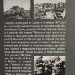 Pannello in mostra n. 5