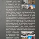 Pannello in mostra n. 9