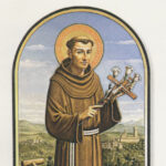 La nuova immagine di San Pacifico