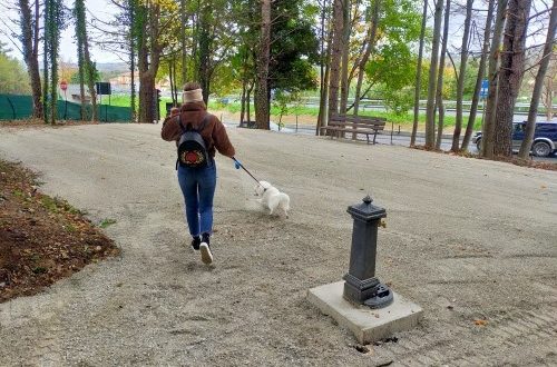 Primo sgambatoio comunale per i cani