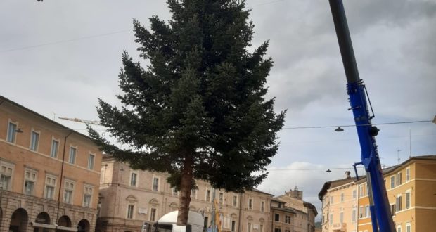 L'albero di Natale in piazza
