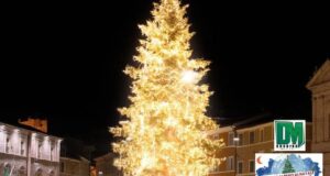 L'albero di Natale in Piazza del Popolo
