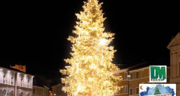 L'albero di Natale in Piazza del Popolo