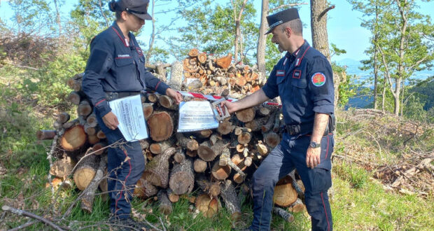 I Carabinieri Forestali durante l'operazione di sequestro