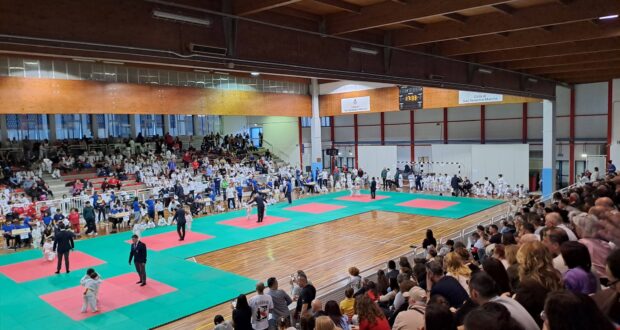 Palas gremito per la manifestazione di judo