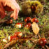 Gita sociale del Circolo Acli: destinazione Montemonaco per la “Raccolta delle castagne”