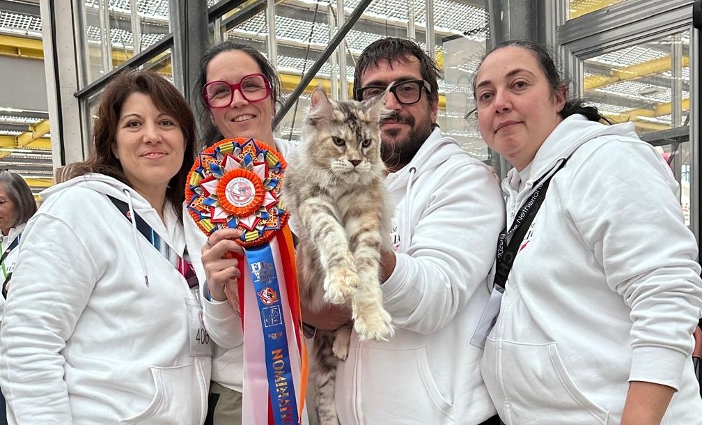 Da San Severino al tetto del mondo: la gatta Olimpia è campionessa iridata La gatta Olimpia campionessa del mondo